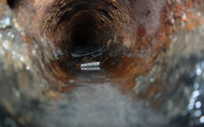 The Unclaimed Babies And Their Funeral