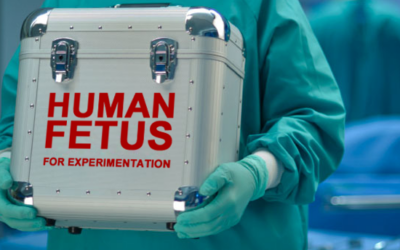 Criminal Minds Unfettered