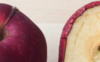 One of These Things Is Not Like the Other!