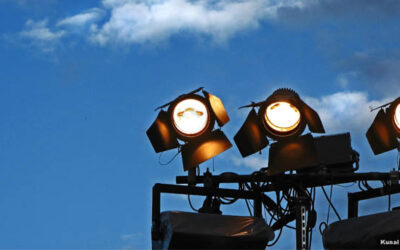 Shining the LIGHT on the Synod