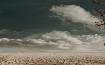 Hope in a Wasteland of Lost Souls