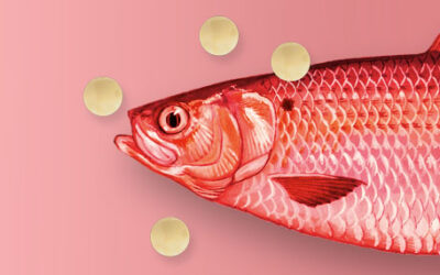 Contraception, IVF, and Political Red Herrings