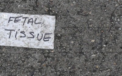 Fetal Tissue Research: What Really Works May Surprise You!