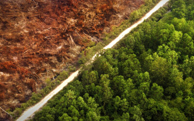 Abortion, Pro-Lifers and a Rash of Relativism