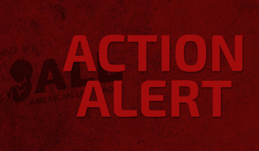 American Life League Supports Ebola Vaccine Call to Action