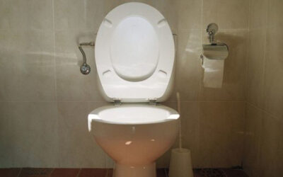 ‘Flush it’ Down the Toilet