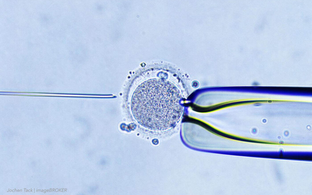 Why Is In Vitro Fertilization Evil?