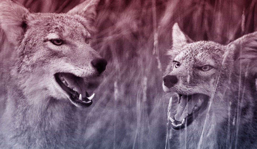 Deep in the Heart of Texas