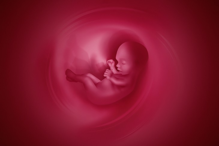 PRO-LIFE BASICS: How Can I Help People Understand the Ravages of Abortion?