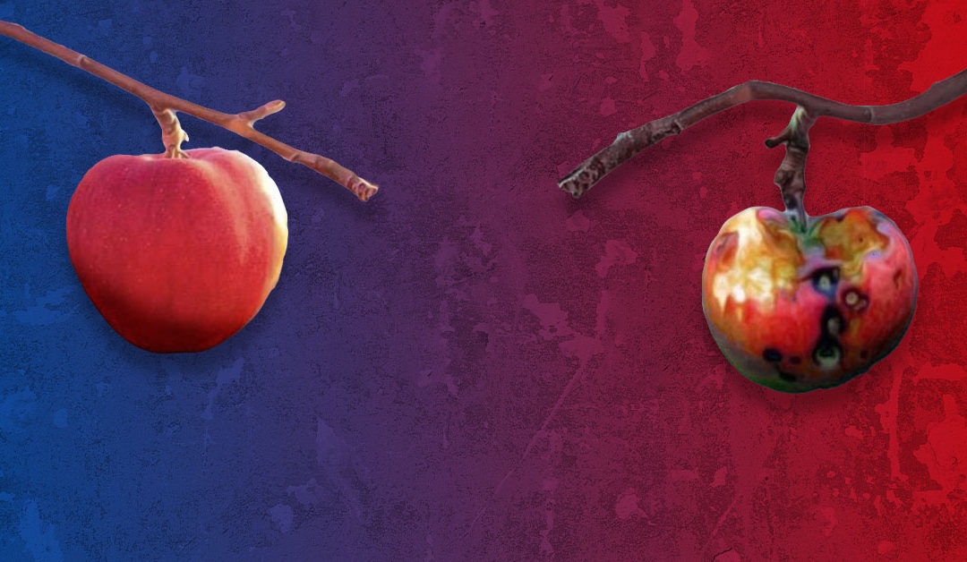 Arbiters of Good and Evil