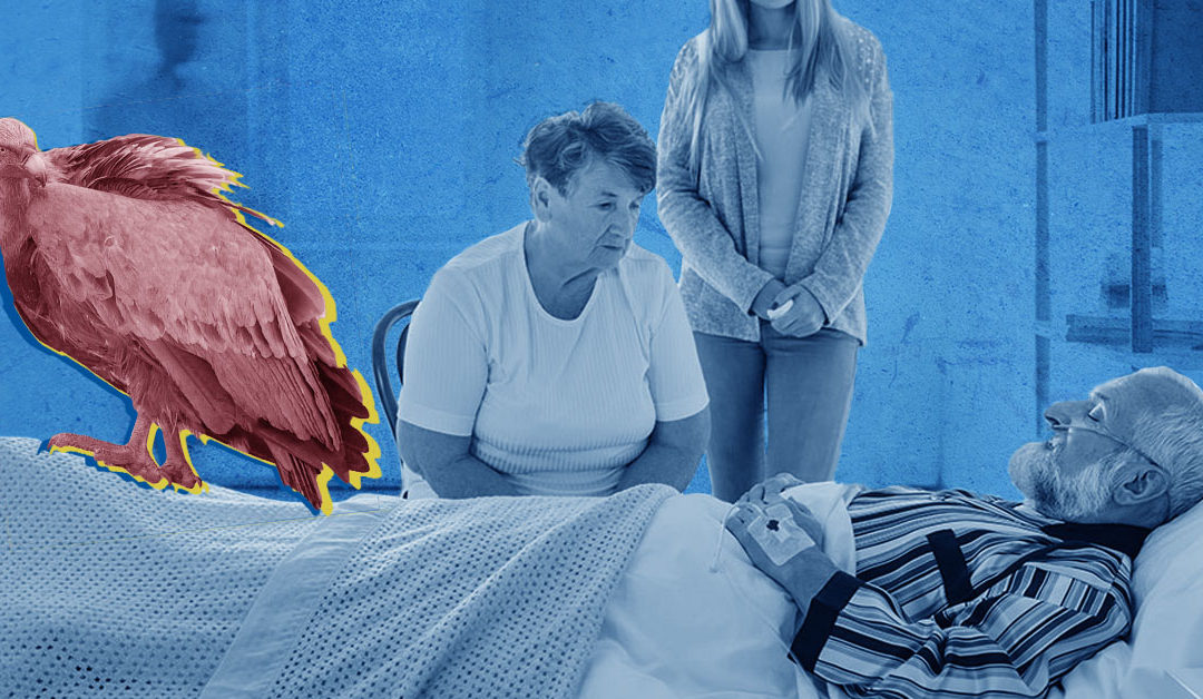 Vultures Market Death