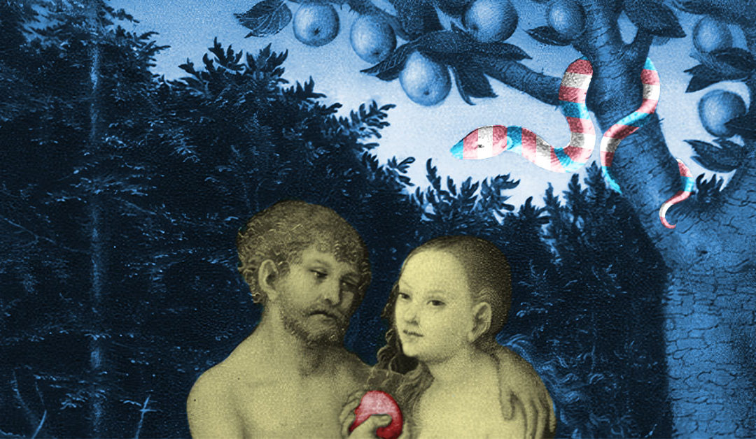 Men, Women, and Them