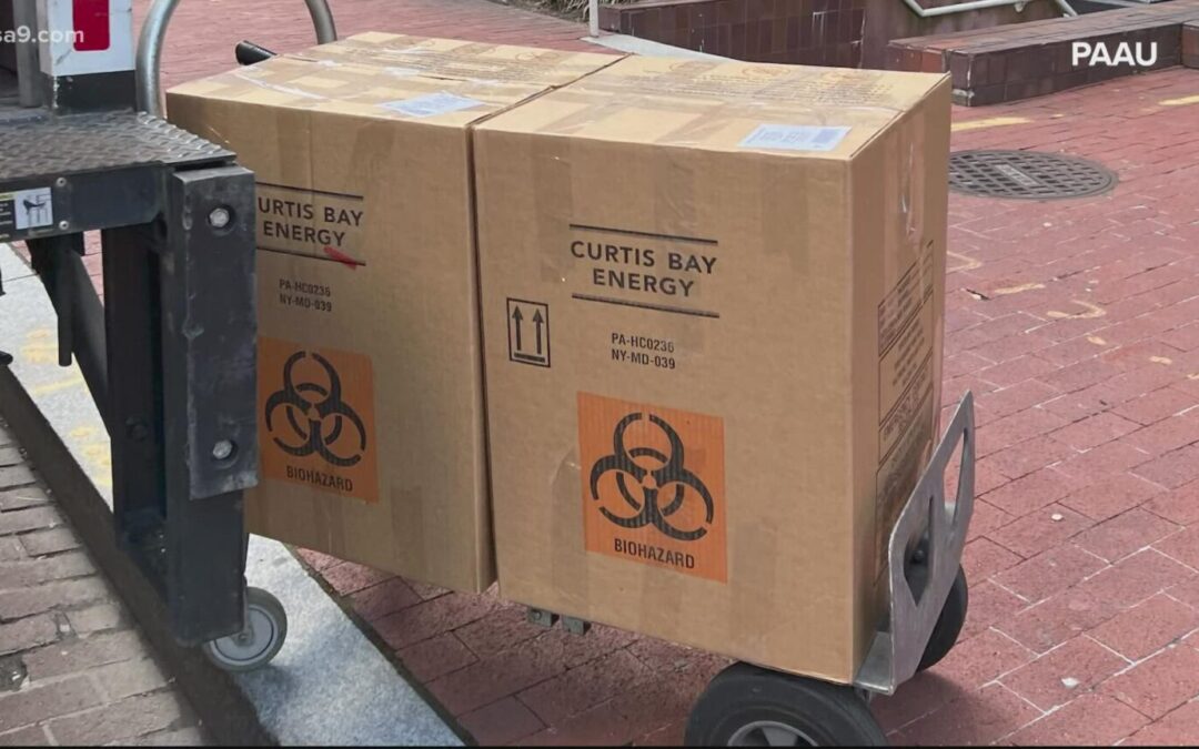 Judie Brown Responds to the 115 Babies Recovered in D.C