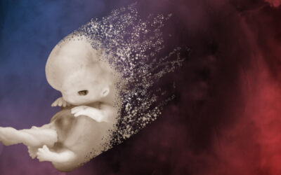 Disintegration of Respect for Human Persons