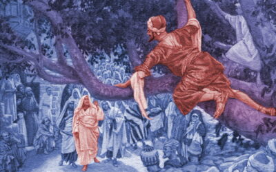 Justice and the Sycamore Tree