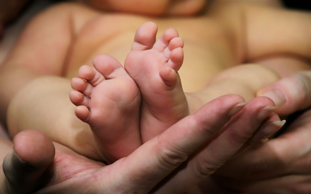 Words and Actions Matter: Abortion in the 2024 Election