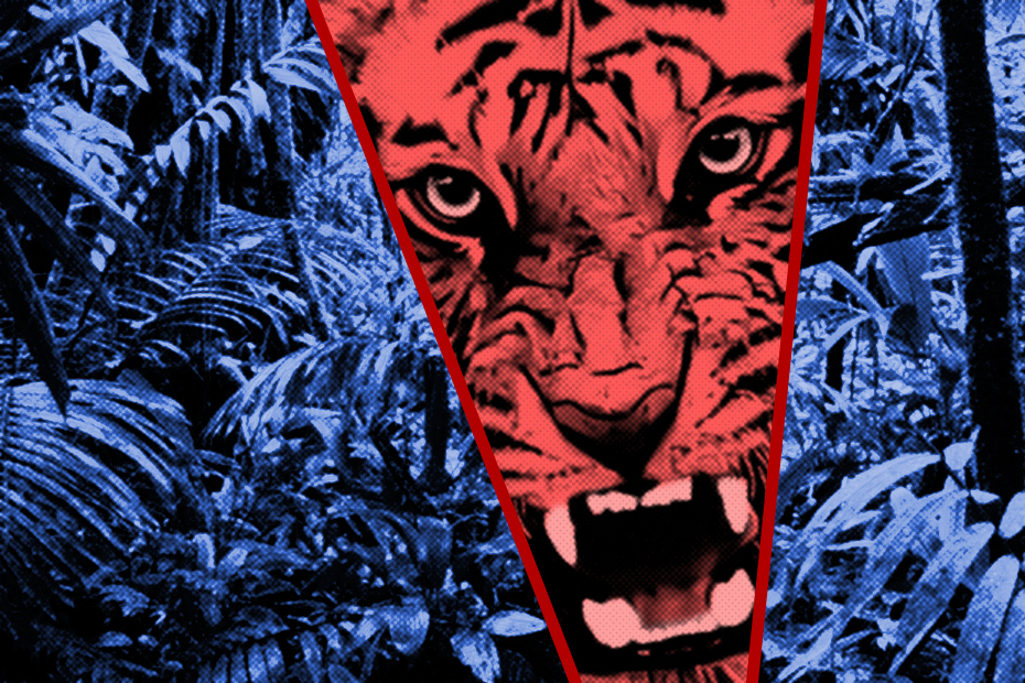 It’s a Jungle Out There!