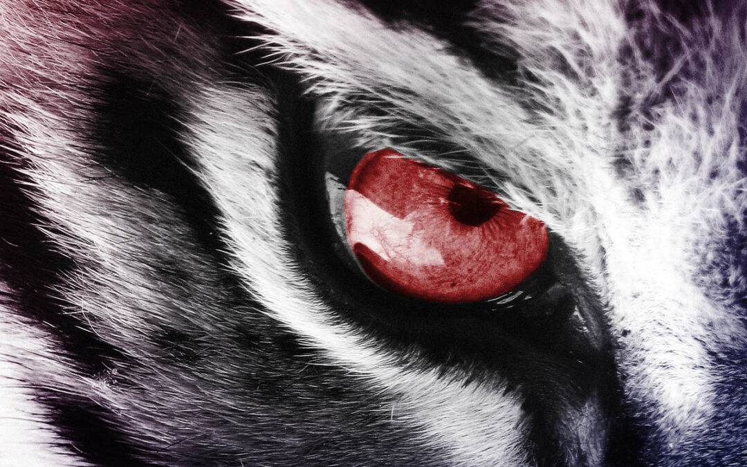 The Eye of the Evil One