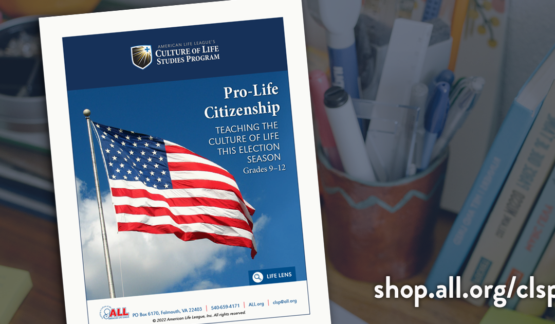 Vote with a Pro-Life Conscience