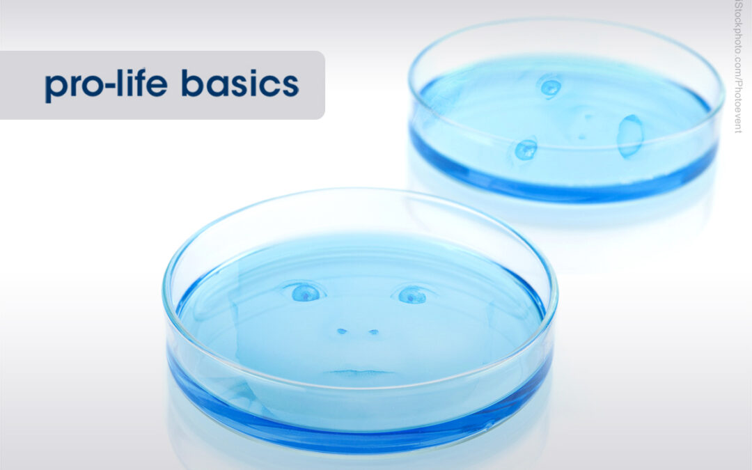 PRO-LIFE BASICS: The Dangers of In Vitro Fertilization